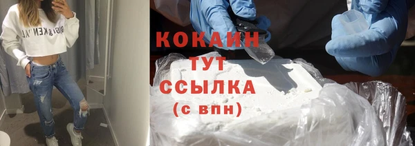 гидра Верхний Тагил