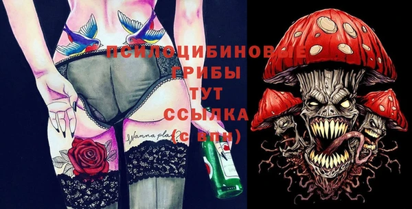 гидра Верхний Тагил