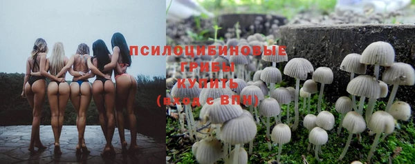 гидра Верхний Тагил