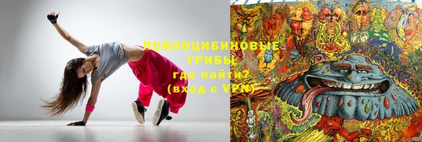 ПСИЛОЦИБИНОВЫЕ ГРИБЫ Строитель