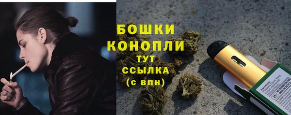 гидра Верхний Тагил